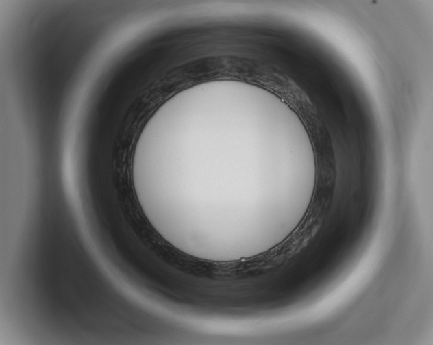 X0000102270766200807250858