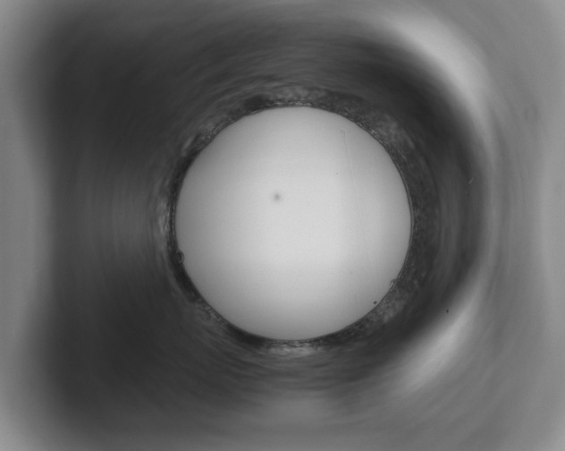 X0000102270767200807250858
