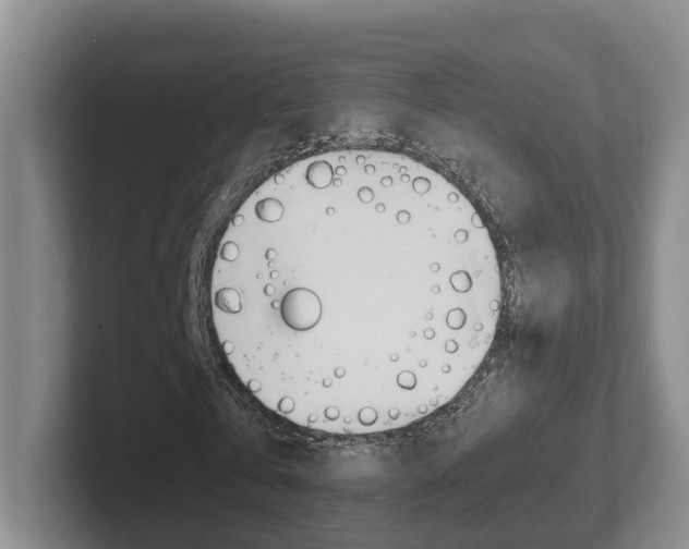 X0000102270769200807250857