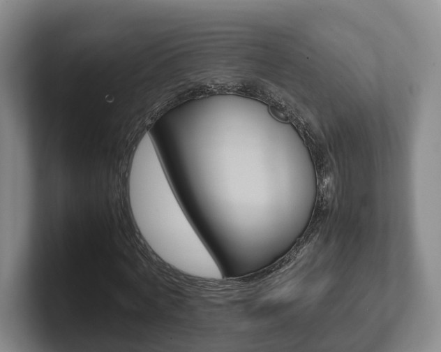 X0000102270772200807250857