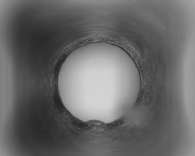 X0000102270773200807250857