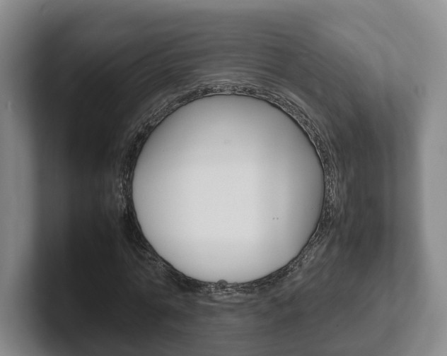 X0000102270774200807250857