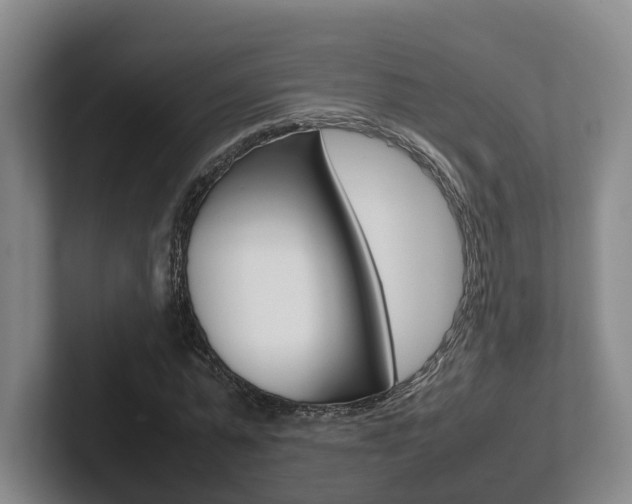 X0000102270775200807250857