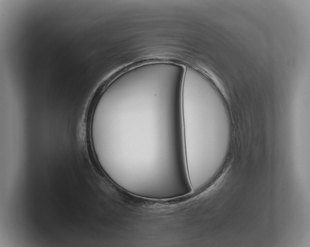 X0000102270779200807250857
