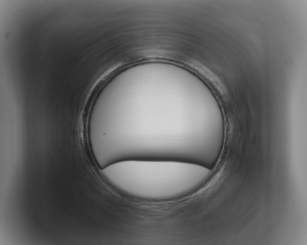 X0000102270782200807250857