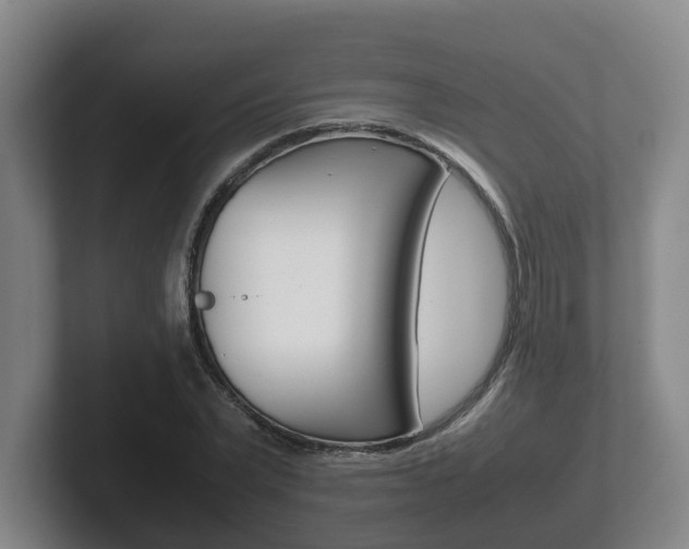 X0000102270783200807250857
