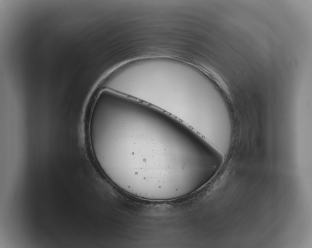 X0000102270784200807250857
