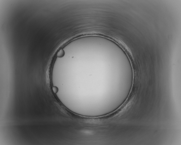 X0000102270789200807250857