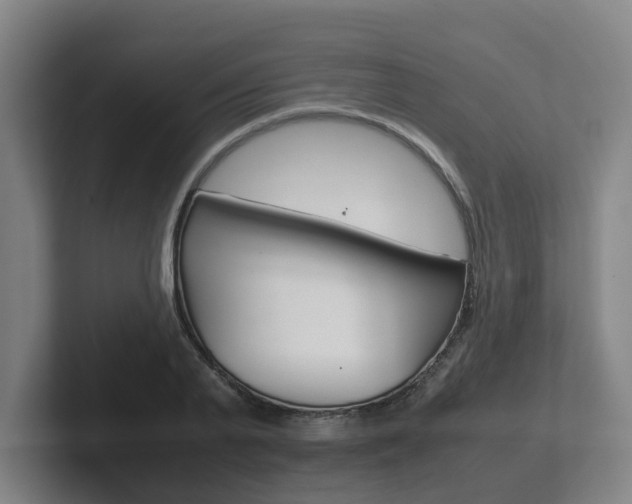 X0000102270791200807250857