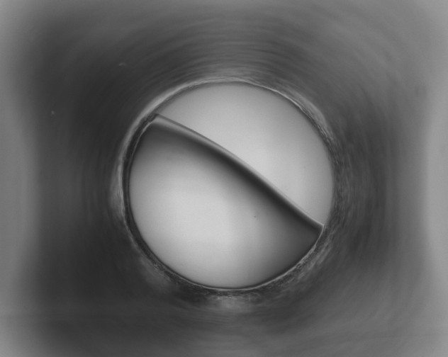 X0000102270792200807250857