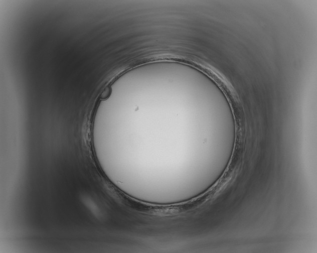 X0000102270793200807250857