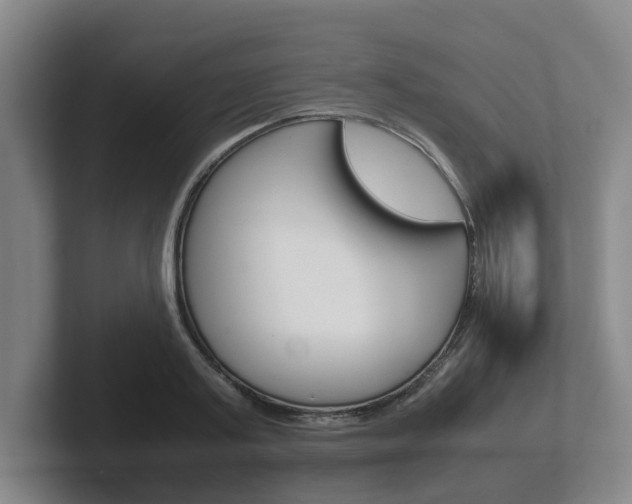 X0000102270795200807250857
