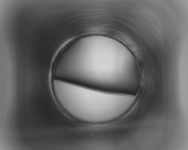 X0000102270796200807250857