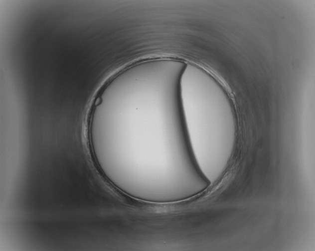 X0000102270797200807250857
