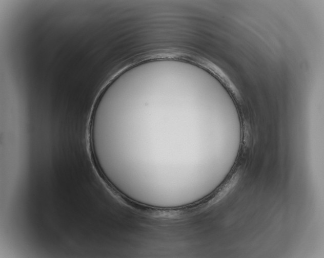 X0000102270802200807250856