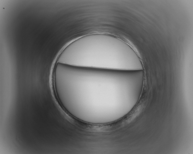 X0000102270803200807250856