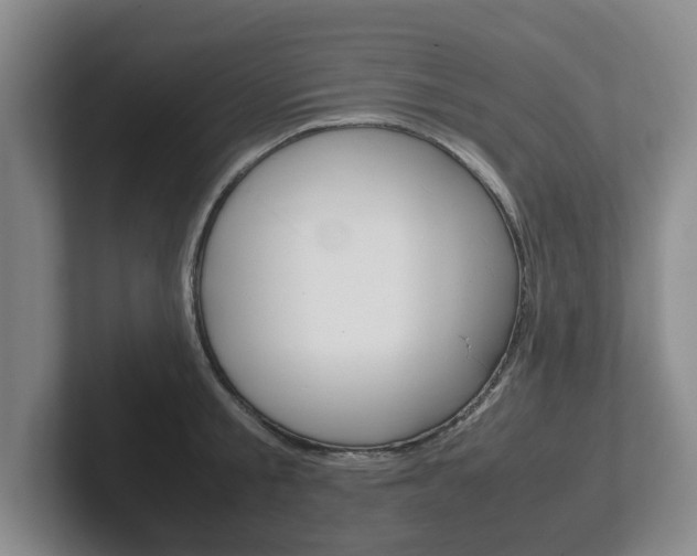 X0000102270805200807250856
