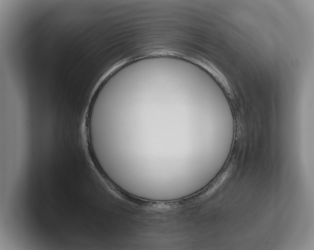 X0000102270806200807250856
