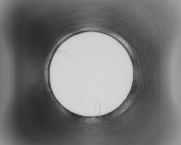 X0000102270807200807250856