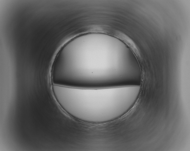 X0000102270808200807250856