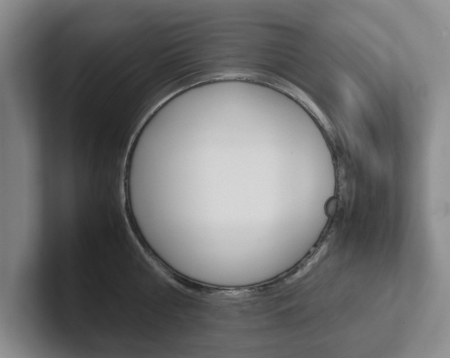 X0000102270810200807250856