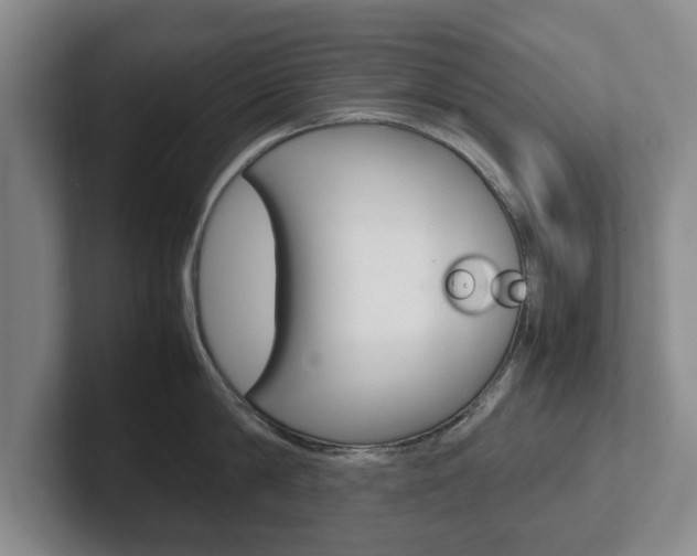 X0000102270814200807250856