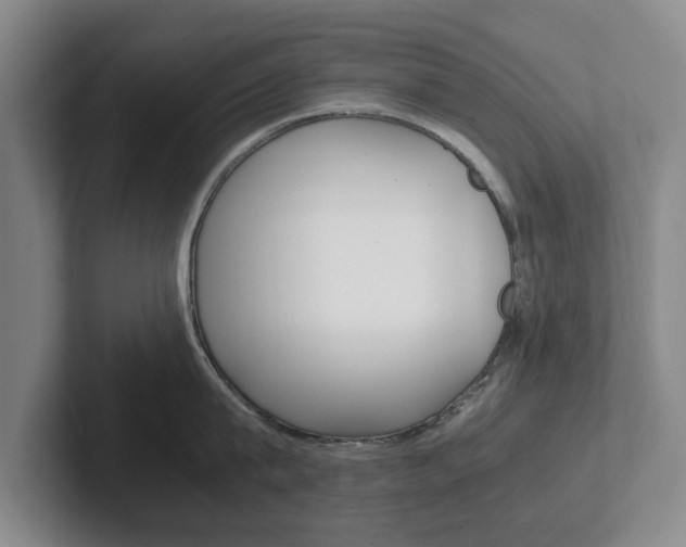 X0000102270815200807250856