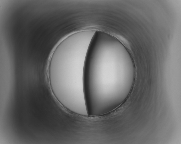 X0000102270816200807250856