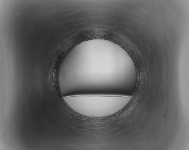 X0000102270818200807250856