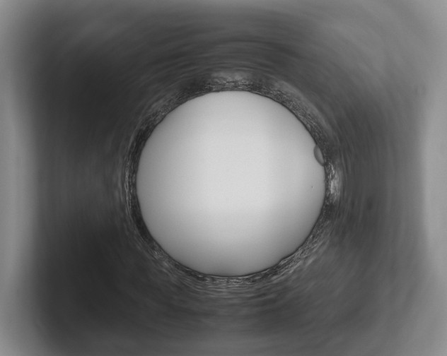 X0000102270819200807250856