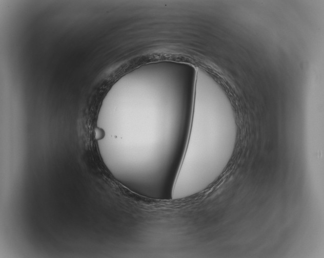 X0000102270822200807250856