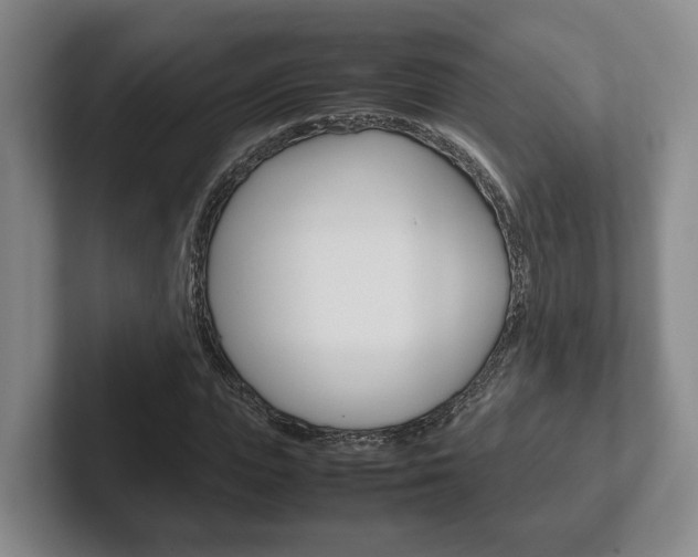 X0000102270823200807250856