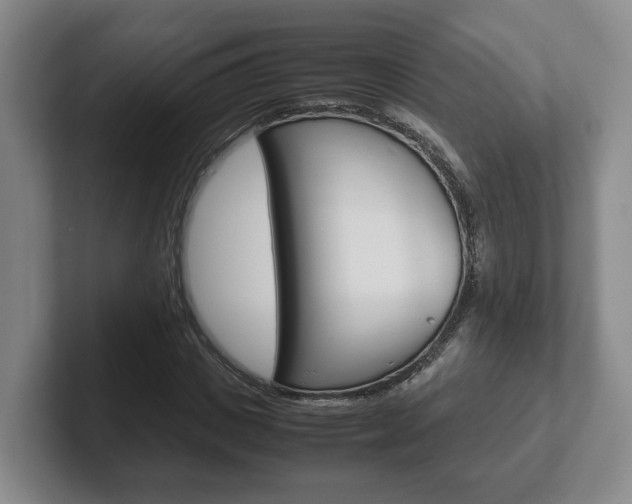 X0000102270825200807250856