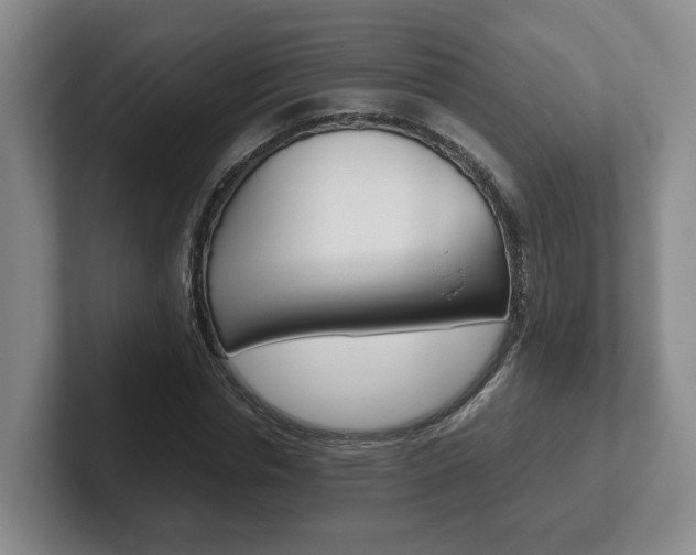 X0000102270826200807250856