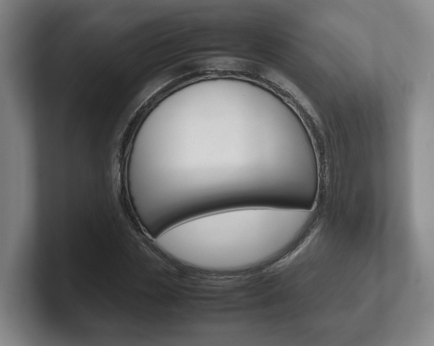 X0000102270829200807250856
