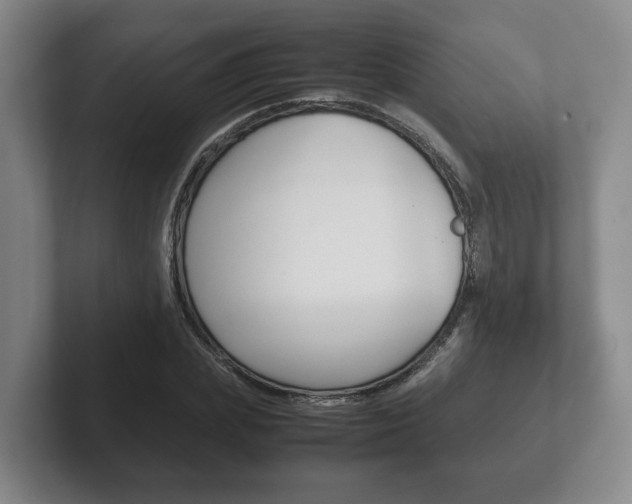 X0000102270831200807250856
