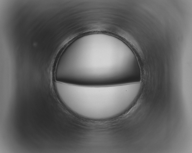 X0000102270834200807250856