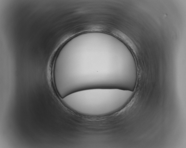 X0000102270835200807250856