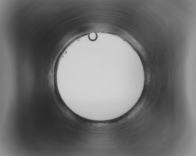 X0000102270836200807250856