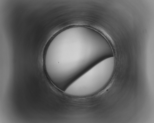 X0000102270837200807250856