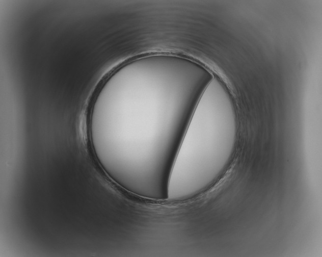 X0000102270838200807250856