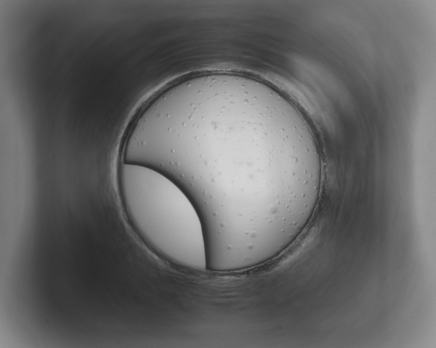 X0000102270839200807250856