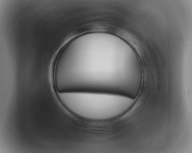 X0000102270843200807250856