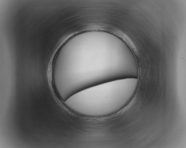 X0000102270844200807250856