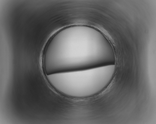 X0000102270846200807250856