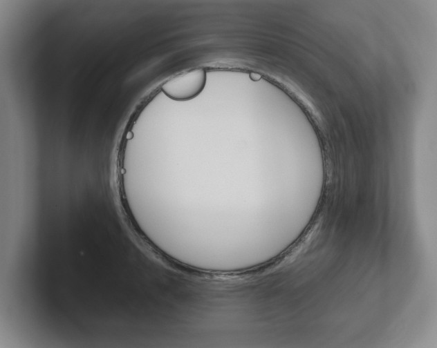 X0000102270848200807250856