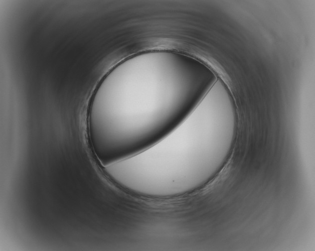 X0000102270850200807250856