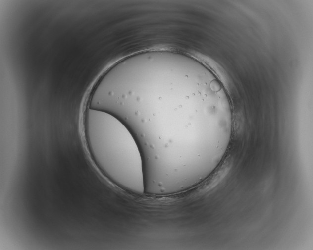 X0000102270851200807250856