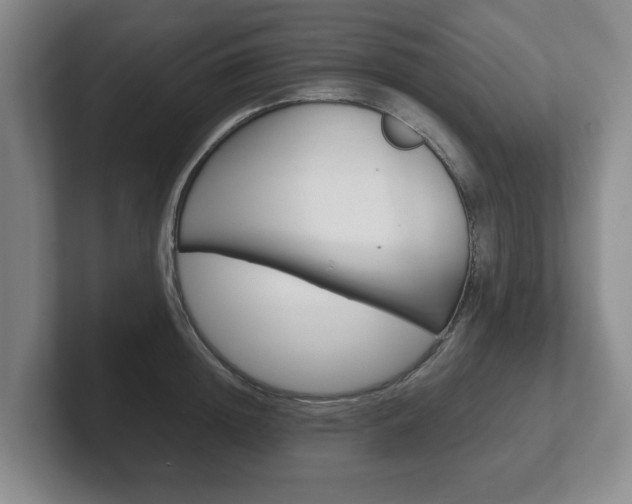 X0000102270852200807250856