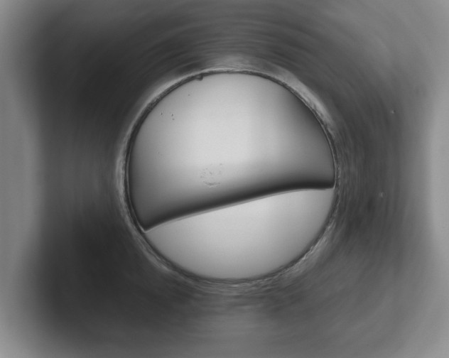 X0000102270854200807250856